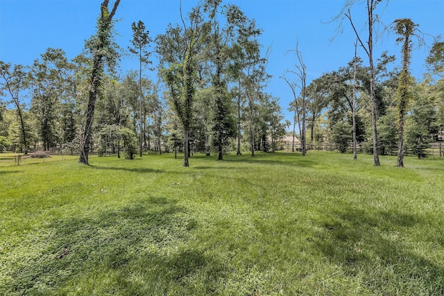 9184 White Tail Dr, Conroe, TX 77303 - photo 45
