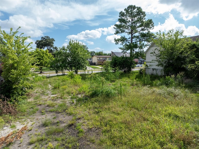 3418 Southmore Blvd, Houston, TX 77004 - photo 9