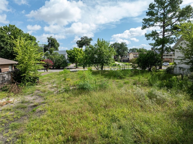 3418 Southmore Blvd, Houston, TX 77004 - photo 10