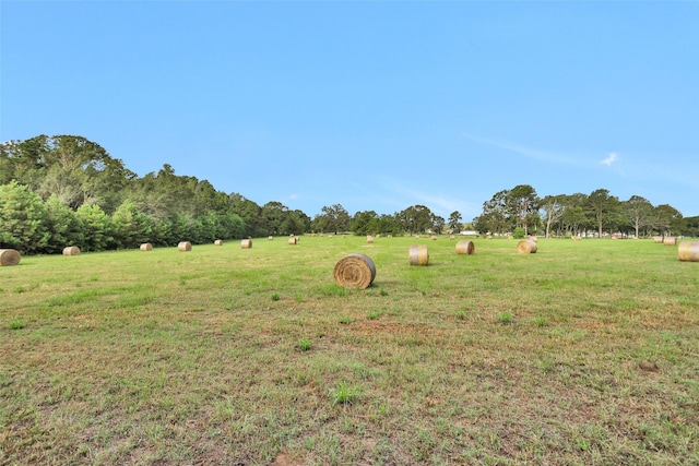 0000 W Fm 2693, New Waverly, TX 77358 - photo 3