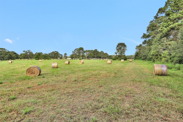 0000 W Fm 2693, New Waverly, TX 77358 - photo 4