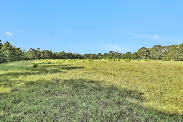 0000 W Fm 2693, New Waverly, TX 77358 - photo 7