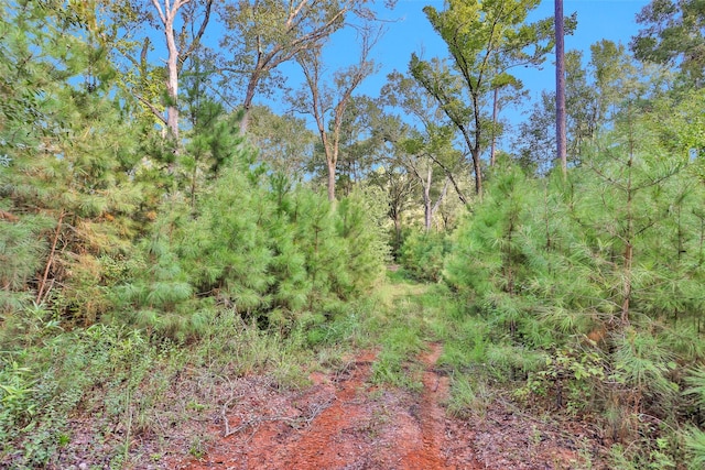 0000 W Fm 2693, New Waverly, TX 77358 - photo 8