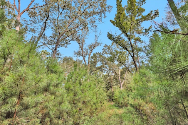 0000 W Fm 2693, New Waverly, TX 77358 - photo 9