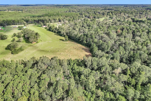 0000 W Fm 2693, New Waverly, TX 77358 - photo 11