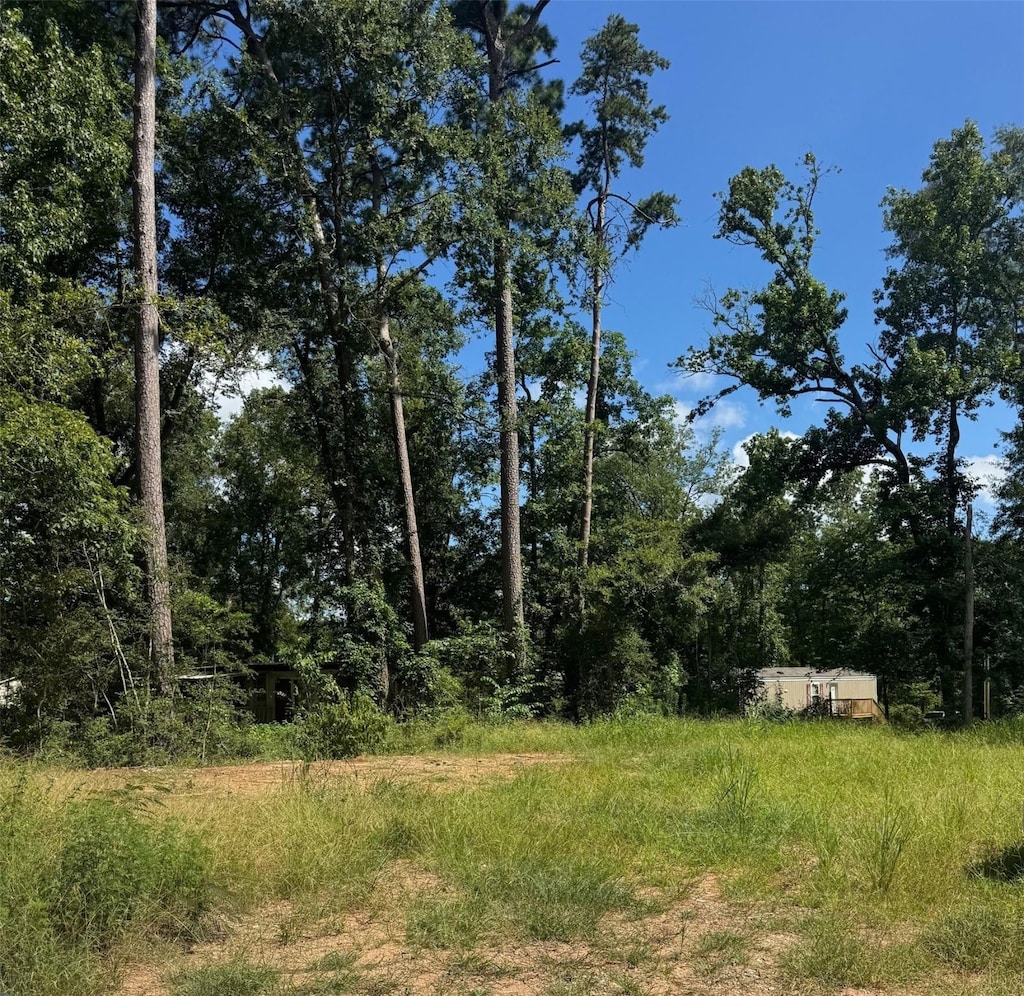 3629 Hickock Ln, Willis, TX 77378 - photo 2