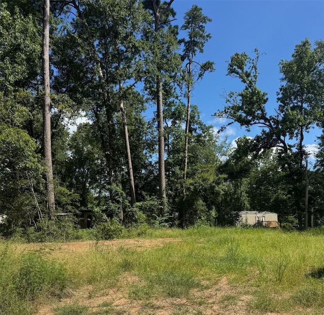 3629 Hickock Ln, Willis, TX 77378 - photo 2