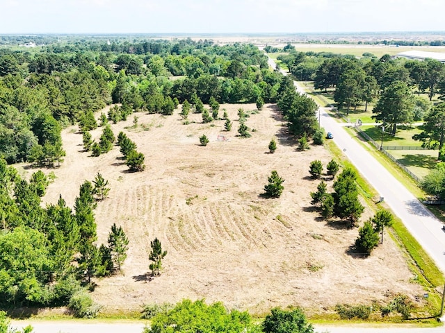 0 Badtke Rd, Hockley, TX 77447 - photo 1