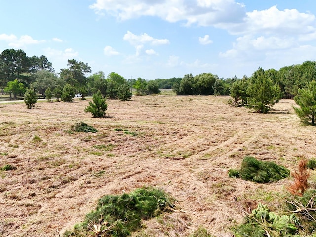0 Badtke Rd, Hockley, TX 77447 - photo 3