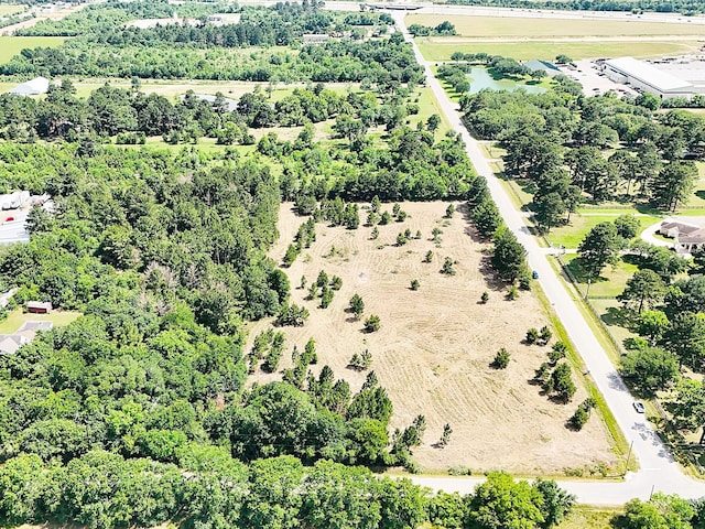 0 Badtke Rd, Hockley, TX 77447 - photo 5