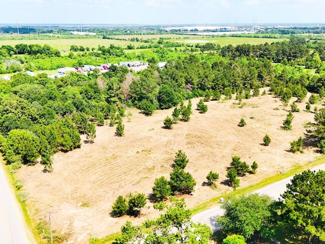 0 Badtke Rd, Hockley, TX 77447 - photo 6