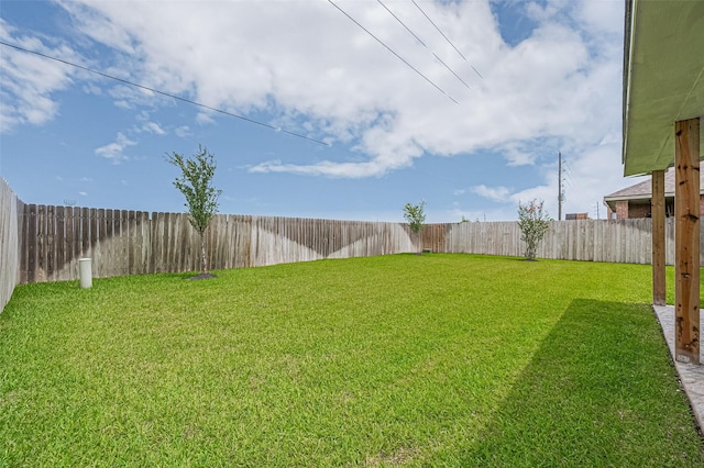 21506 Avalon Queen Dr, Spring, TX 77379 - photo 48