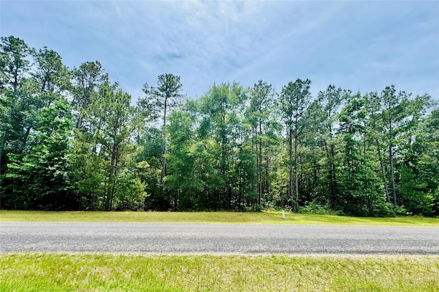 13A-1-1 Texas Grand Rd, Huntsville, TX 77340 - photo 2