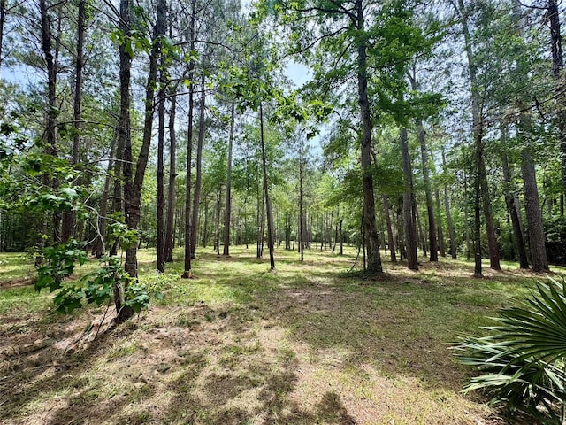13A-1-1 Texas Grand Rd, Huntsville, TX 77340 - photo 4