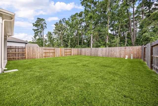 9538 Louis Phillip St, Magnolia, TX 77354 - photo 21