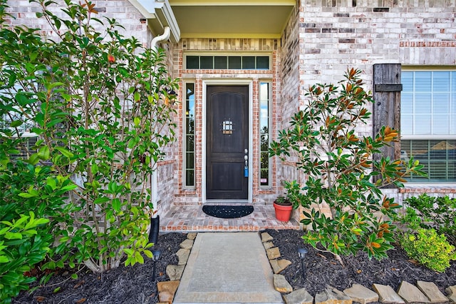 11320 Fannin Trail Ct, Needville, TX 77461 - photo 5