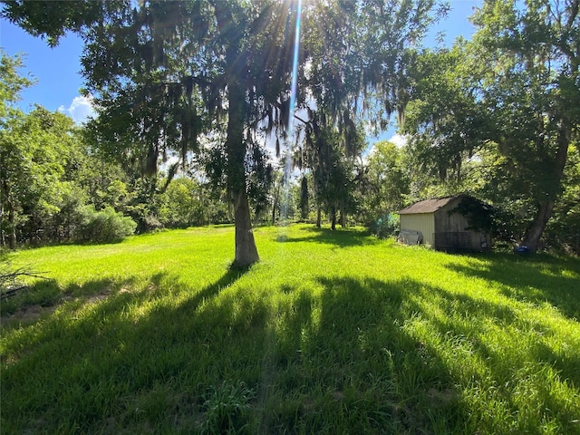 20331 County Road 510v, Brazoria, TX 77422 - photo 27