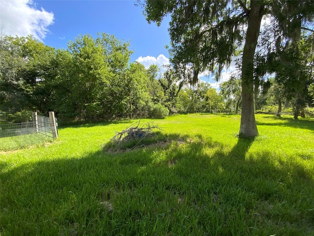 20331 County Road 510v, Brazoria, TX 77422 - photo 28