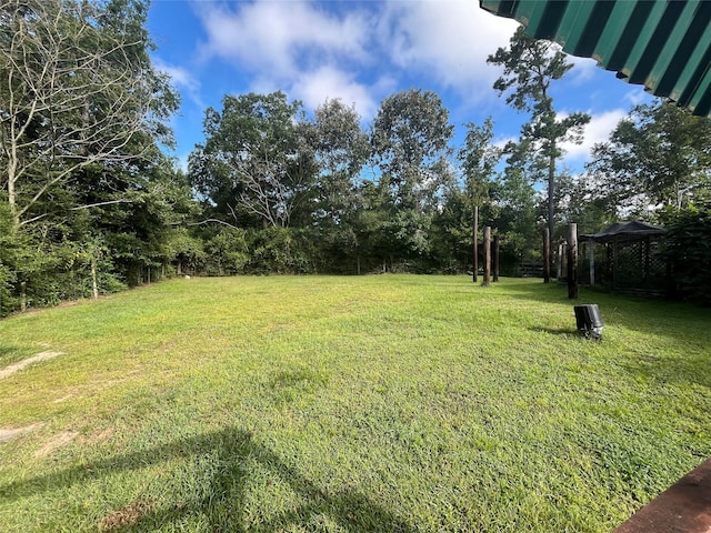 173 Bobcat Trl, Livingston, TX 77351 - photo 7