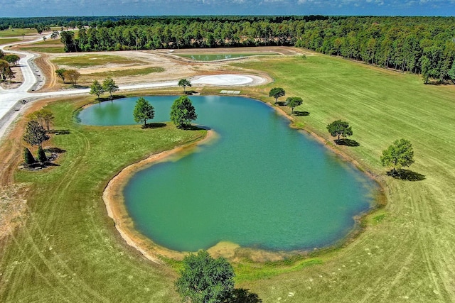 2307 Iris Cove Ct, Hockley, TX 77447 - photo 6