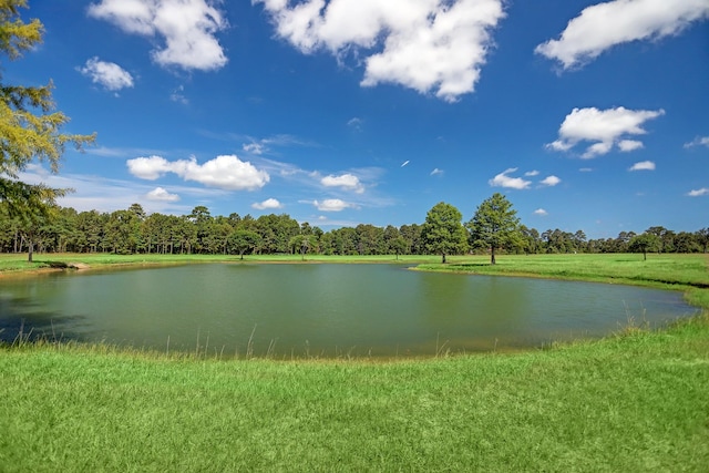 2307 Iris Cove Ct, Hockley, TX 77447 - photo 7