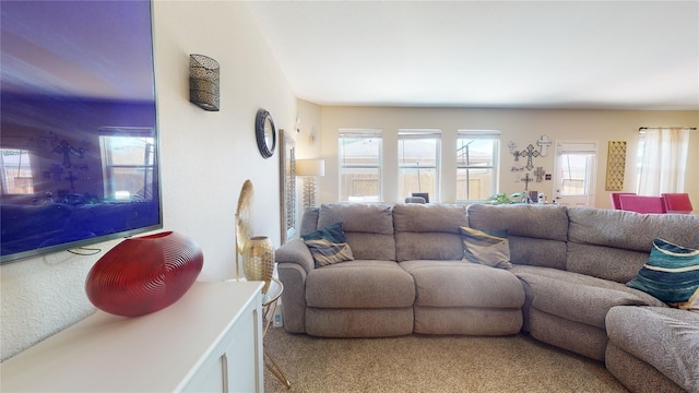 10555 Logger Pine Trl, Houston, TX 77088 - photo 5