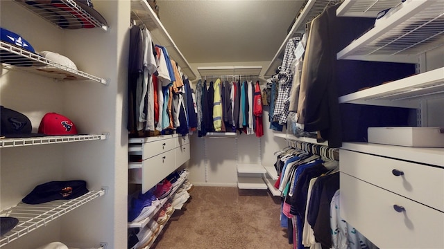 10555 Logger Pine Trl, Houston, TX 77088 - photo 32