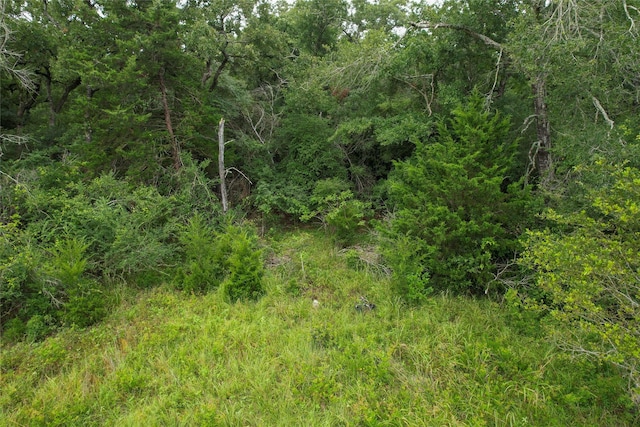 4199 Settlers Ln, Madisonville, TX 77864 - photo 6