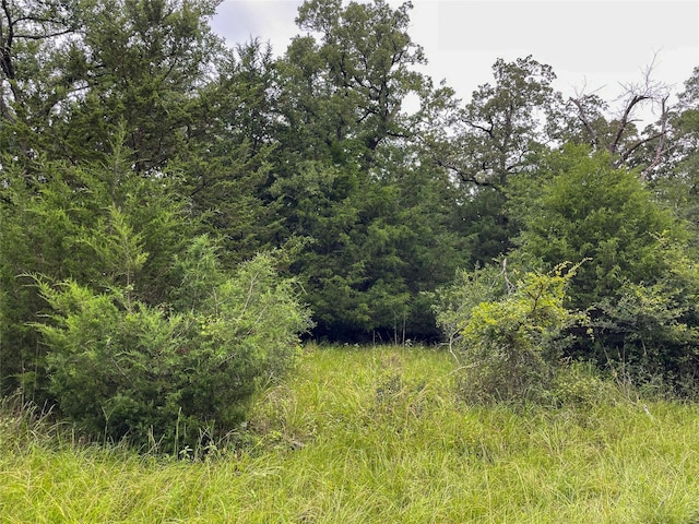 4199 Settlers Ln, Madisonville, TX 77864 - photo 7