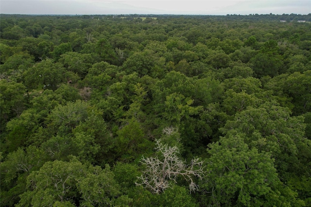 4199 Settlers Ln, Madisonville, TX 77864 - photo 20