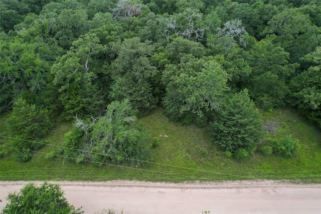 4199 Settlers Ln, Madisonville, TX 77864 - photo 17