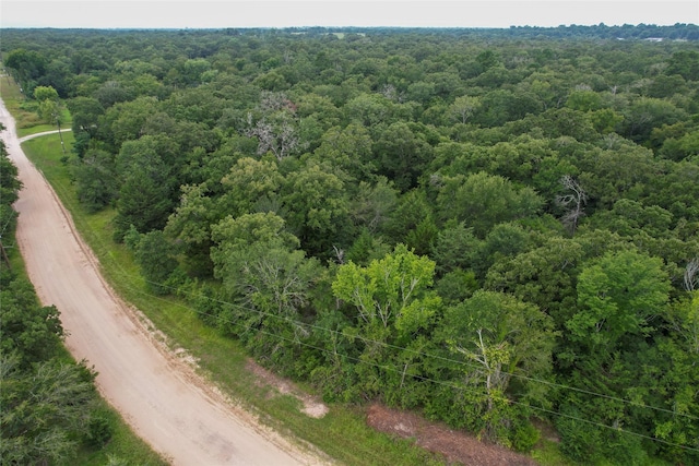 4199 Settlers Ln, Madisonville, TX 77864 - photo 21