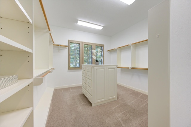 14125 Cardinal Ln, Houston, TX 77079 - photo 31