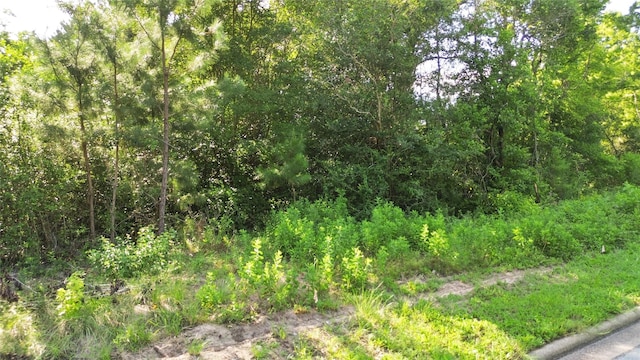 3800 Boettcher Dr, Huntsville, TX 77340 - photo 4