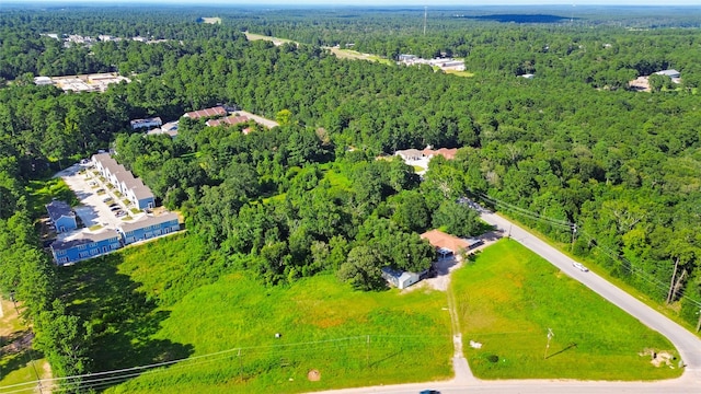 3800 Boettcher Dr, Huntsville, TX 77340 - photo 14
