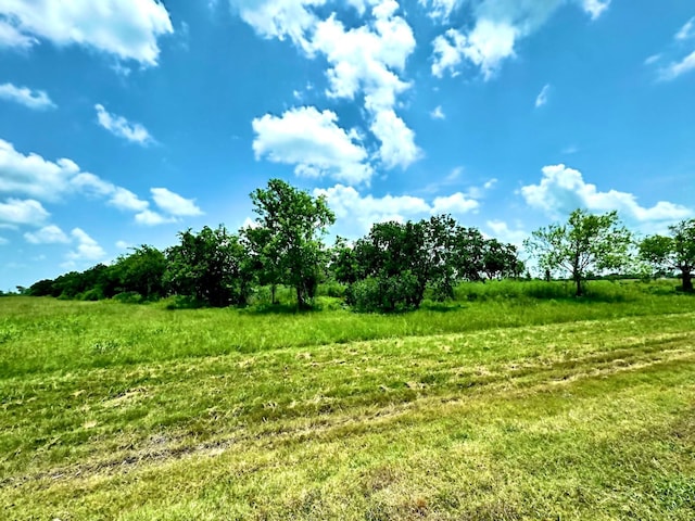 LOT4 Brahman Trl, Angleton, TX 77515 - photo 1