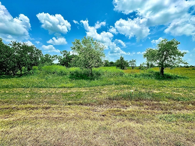 LOT4 Brahman Trl, Angleton, TX 77515 - photo 2