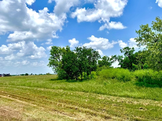 LOT4 Brahman Trl, Angleton, TX 77515 - photo 3