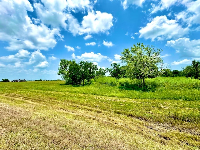 LOT4 Brahman Trl, Angleton, TX 77515 - photo 4