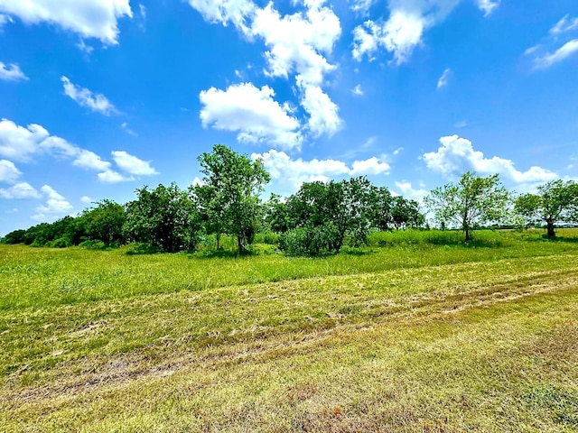 LOT4 Brahman Trl, Angleton, TX 77515 - photo 5