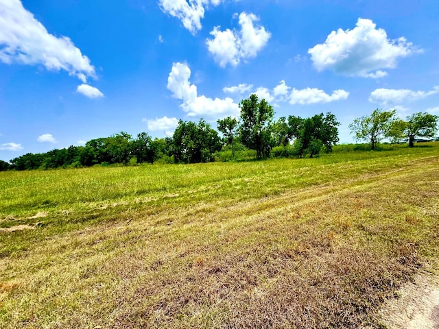 LOT4 Brahman Trl, Angleton, TX 77515 - photo 6