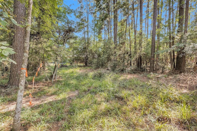 1505 Cheyenne Loop, Montgomery, TX 77316 - photo 3