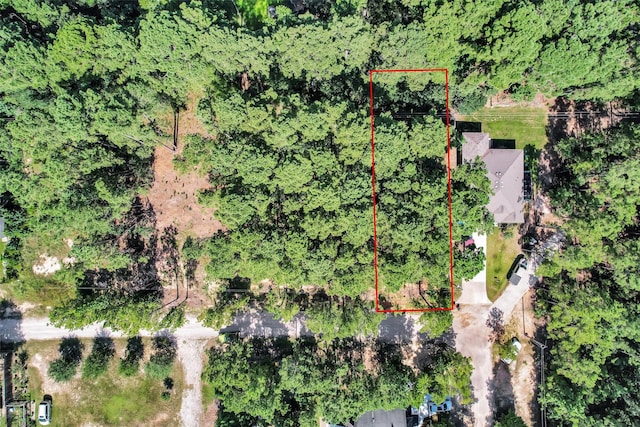 1505 Cheyenne Loop, Montgomery, TX 77316 - photo 2