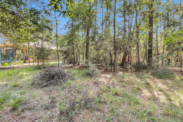 1505 Cheyenne Loop, Montgomery, TX 77316 - photo 5