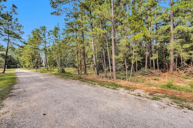 1505 Cheyenne Loop, Montgomery, TX 77316 - photo 6