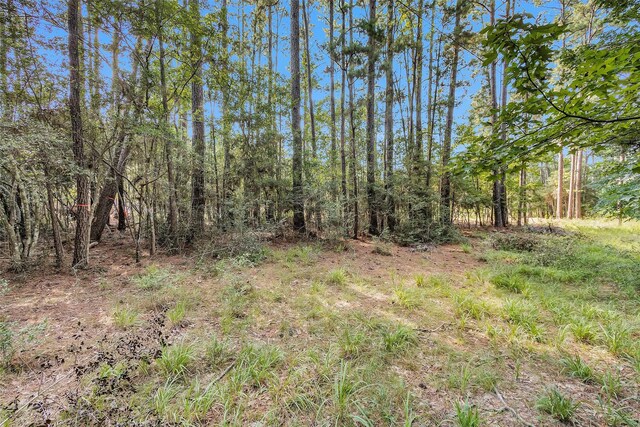 1505 Cheyenne Loop, Montgomery, TX 77316 - photo 4