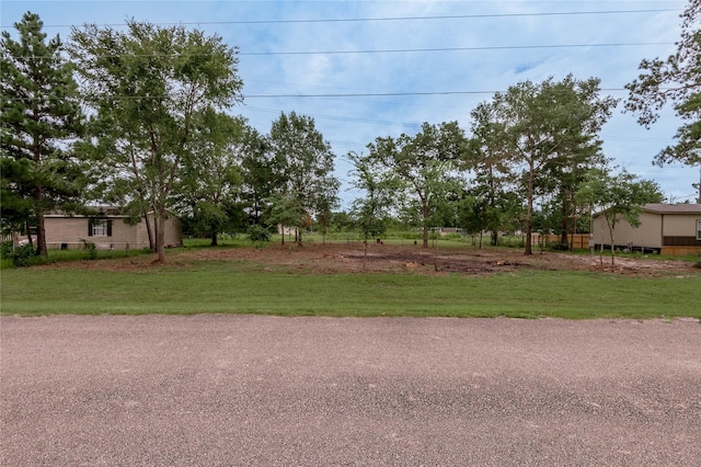 LOT18 Victoria Way, Huntsville, TX 77320 - photo 7