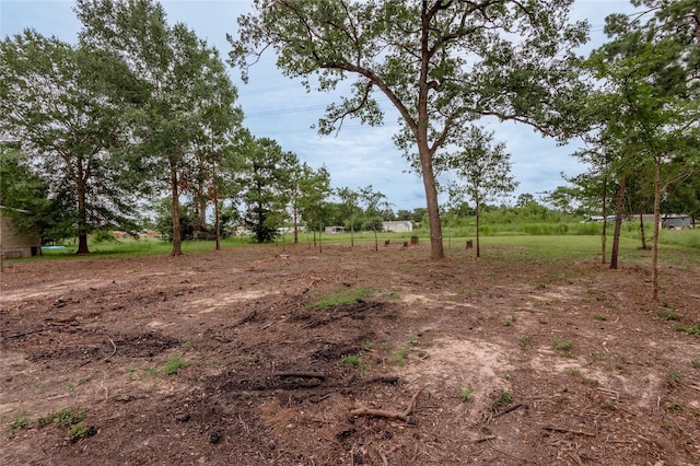 LOT18 Victoria Way, Huntsville, TX 77320 - photo 11