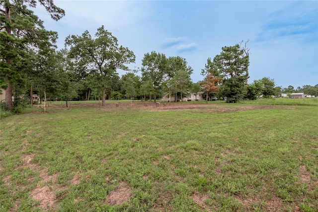 LOT18 Victoria Way, Huntsville, TX 77320 - photo 14
