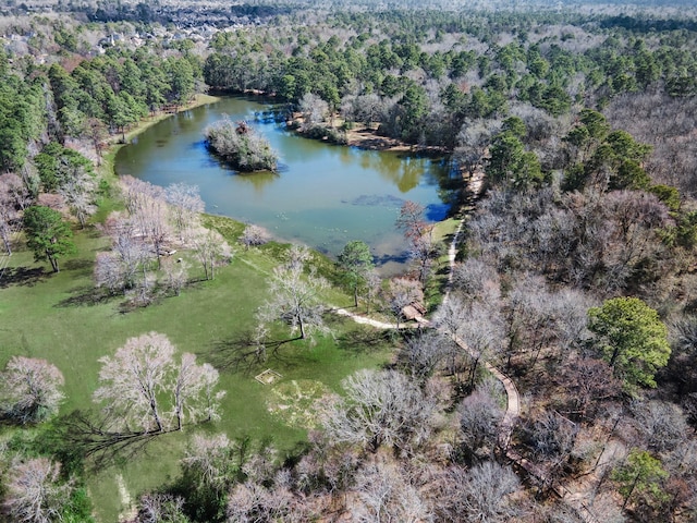 1319 Allison Meadows Ct, Spring, TX 77386 - photo 41